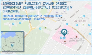 ODDZIAŁ REUMATOLOGICZNY Z PODODDZIAŁEM ENDOKRYNOLOGICZNYM - SAMODZIELNY PUBLICZNY ZAKŁAD OPIEKI ZDROWOTNEJ ZESPÓŁ SZPITALI MIEJSKICH W CHORZOWIE - UL. STRZELCÓW BYTOMSKICH 11,  CHORZÓW